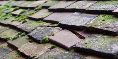 Botany Bay roof repair costs